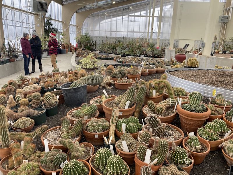 a cacti collection with walkways